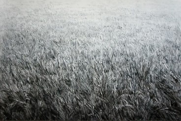 Image of SHI ZHIYING's 石至莹 The Infinite Lawn 无垠的草坪, 2012