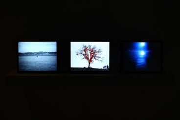 Installation view of a dark room with several videos