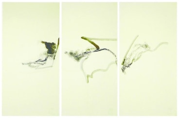 WANG XIEDA 王燮达