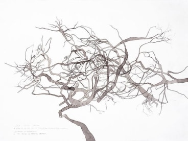 ROXY PAINE Drawing for Maelstrom, 2008