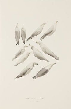 Image of GUO HONGWEI's 郭鸿蔚 Still Life #2 生物 #2, 2010