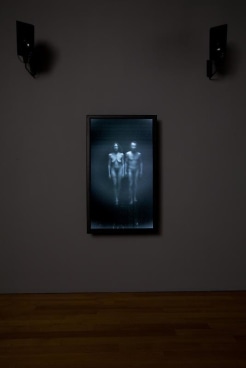installation view