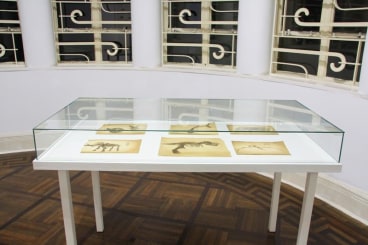 installation view of several artworks