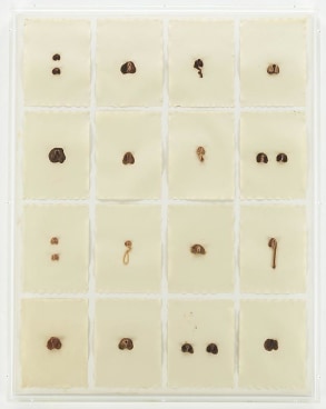 Image of HANNAH WILKE's S.O.S. – Starification Object Series (#2) 1975