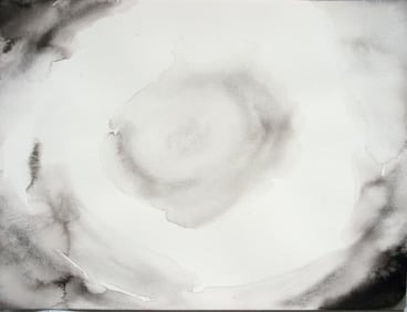 Image of SHI ZHIYING's 石至莹 Palomar—Learning to Be Dead 帕洛马尔——如何学会做个死者, 2011-2012