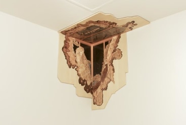 installation view of one artwork