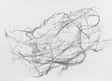 ROXY PAINE Drawing for Distillation, 2009