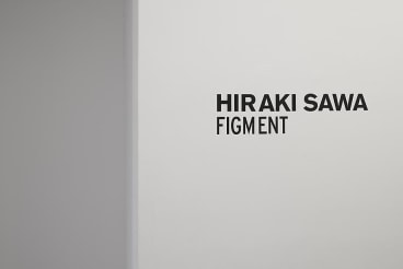 HIRAKI SAWA Figment