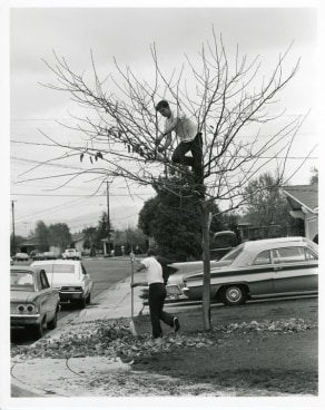 BILL OWENS My dad thinks it's a good idea to take all the leaves off the tree and rake up the yard. I think he's crazy.