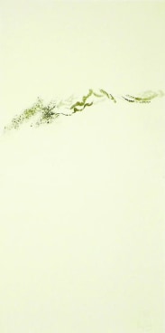 Image of WANG XIEDA's 王燮达 RAN 然20, 2000-2003