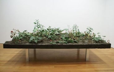 ROXY PAINE, Weed Choked Garden, 2005.  Thermoset plastic, polymer, 