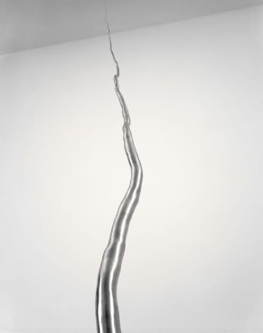 ROXY PAINE Model for 100 Foot Line, 2008
