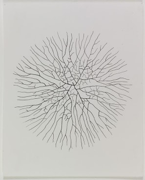 ROXY PAINE Study for Distillation, 2009