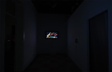 MARTHA COLBURN, One &amp;amp; One is Life 一加一即生活, Installation view, James Cohan Gallery, Shanghai, 2010