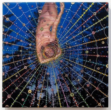 FRED TOMASELLI Halo of Flies, 2006  