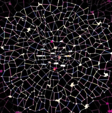 image of Fred Tomaselli's work resembling a spider web or grid