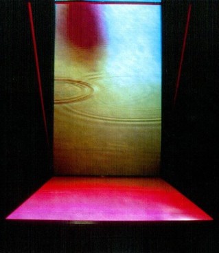 Bill Viola, The World of Appearances, 2000, video installation
