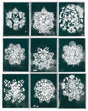 Image of TERRY WINTERS's 特里•温特斯 Pollen 花粉, 2011