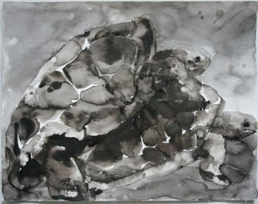 Image of SHI ZHIYING's 石至莹 Palomar—The Loves of the Tortoises 帕洛马尔——乌龟之爱, 2011-2012