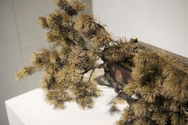 ALICIA FRAMIS Love Gone [detail], 2009