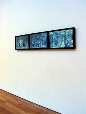 Image of BILL VIOLA's Study for the Path 2002