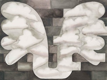 wings with a cloud pattern