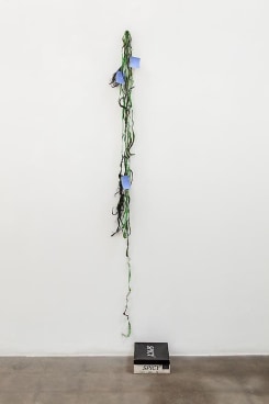 Image of RICHARD HAWKINS's Scalp 13, (Remember the wonderful days when “identity” encompassed “fluidity”?) 2012