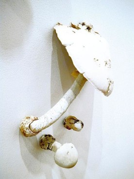 Amanita Virosa Wall #1, 2001, Thermoset plastic, stainless steel, lacquer oil, 140 x 186 inches, detail