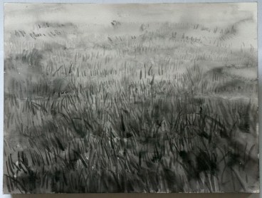Image of SHI ZHIYING's 石至莹 Palomar—The Infinite Lawn 帕洛马尔——无垠的草坪, 2011-2012