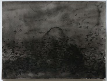 Image of SHI ZHIYING's 石至莹 Palomar—The Invasion of the Starlings 帕洛马尔——群鸟入侵, 2011-2012