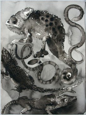 image of SHI ZHIYING's 石至莹 Palomar—The Order Squamata 帕洛马尔——有鳞目, 2011-2012