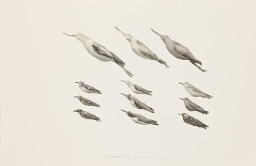 Image of GUO HONGWEI's 郭鸿蔚 Still Life #5 生物 #5, 2010