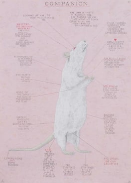 Image of SIMON EVANS's Companion, 2010