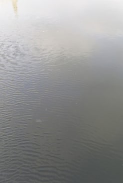 image of calm water