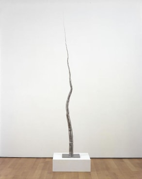 ROXY PAINE Model for 100 Foot Line, 2008