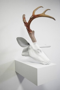 ERICK SWENSON Untitled (Velvet Horn) 无题 (丝绒鹿角), 2009