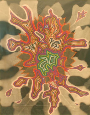 Image of FRED TOMASELLI's 弗雷德•托马塞利 Bloom #6 花#6, 2011