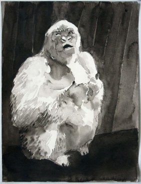 Image of SHI ZHIYING's 石至莹 Palomar—The Albino Gorilla 帕洛马尔——白化症猩猩, 2011-2012