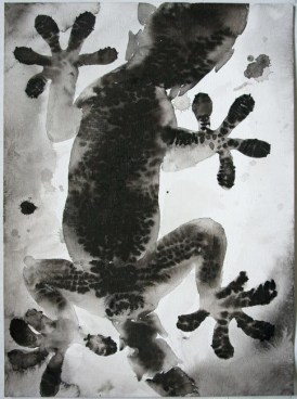 Image of SHI ZHIYING's 石至莹 Palomar—The Gecko's Belly 帕洛马尔——壁虎的肚子, 2011-2012
