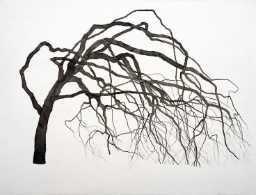 ROXY PAINE Drawing for Synapse, 2009