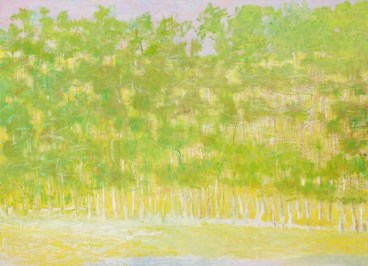 Spring, 2010, Oil on canvas, 52 x 72 inches, 132.1 x 182.9 cm, A/Y#19055