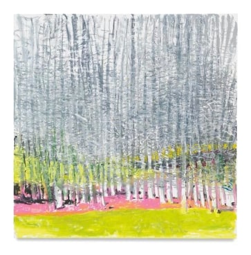 Dense Plantation of Silver Birches II, 2017, Oil on canvas, 52 x 52 inches, 132.1 x 132.1 cm, AMY#28807