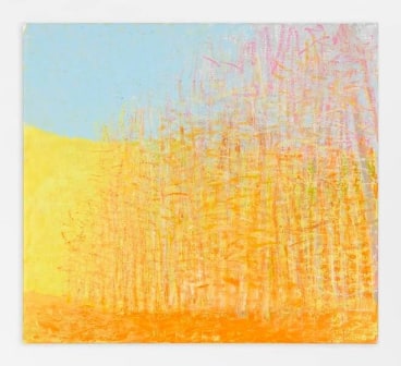 Yellow and Orange, 2015, Oil on canvas, 36 x 40 inches, 91.4 x 101.6 cm, AMY#22402