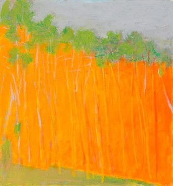 Bold Color, 2011, Oil on canvas, 28 x 26 inches, 71.1 x 66 cm, A/Y#20154
