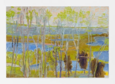 Marsh, 2013, Oil on canvas, 36 x 52 inches, 91.4 x 132.1 cm, AMY#21299