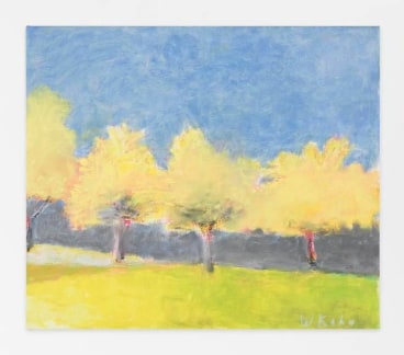 Yellow Tree Row I, 2014, Oil on canvas, 24 x 28 inches, 61 x 71.1 cm, AMY#22133