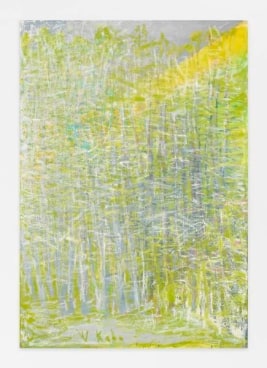 Greenish Haze, 2014, Oil on canvas, 52 x 36 inches, 132.1 x 91.4 cm, AMY#22143