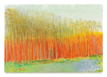 Orange Behind Trees, 2017, Oil on canvas, 36 x 52 inches, 91.4 x 132.1 cm, AMY#28822
