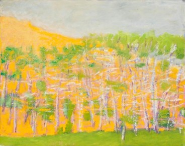 &quot;Green Grass, Gray Sky,&quot; 2012, Oil on canvas, 22 x 28 inches, 55.9 x 71.1 cm, A/Y#20384