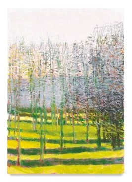 Poplars in Winter, 2016, Oil on canvas, 52 x 36 inches, 132.1 x 91.4 cm, AMY#28936